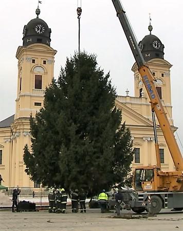 Fenyőfaállítás Debrecen főterén