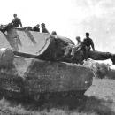 A gigantikus méretű "egér"