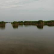 A Fertő tó