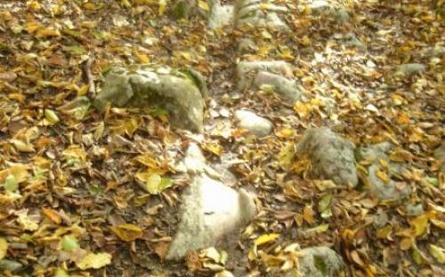 Keréknyom a sziklában