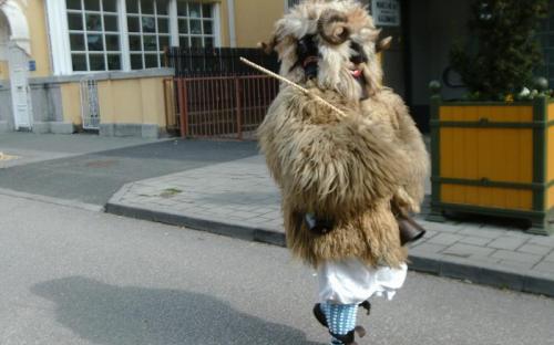 Tömzsi busó