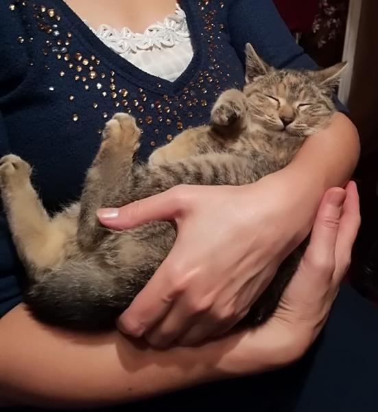 Micike karácsonya