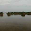 A Fertő tó