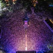 Elképesztő tömeg Fotó: Campus official