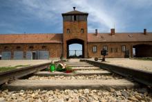 Birkenau ma